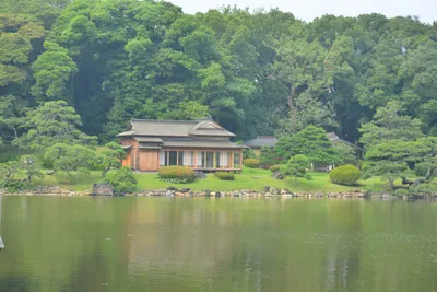 DSC_3402 (Large).JPG